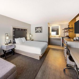 King Room Pet-Friendly or Non-Smoking